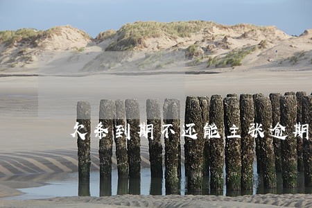 欠条到期不还能主张逾期利息么