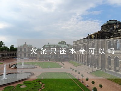 欠条只还本金可以吗