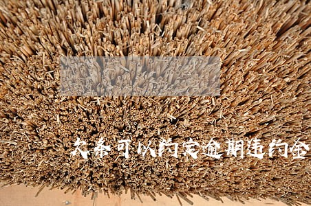 欠条可以约定逾期违约金吗 欠条可以约定逾期违约金吗