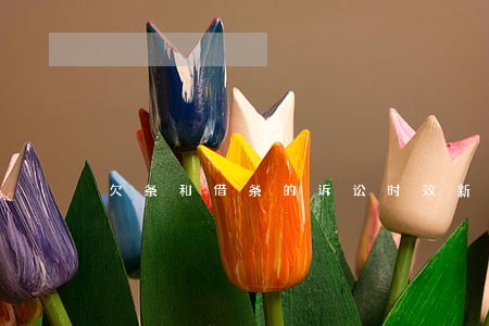 欠条和借条的诉讼时效新规定 欠条和借条的诉讼时效新规定