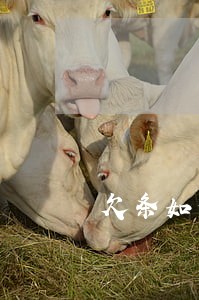 欠条如何计算逾期利息