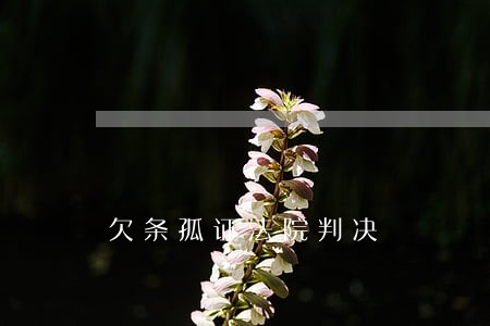 欠条孤证法院判决 欠条孤证法院判决