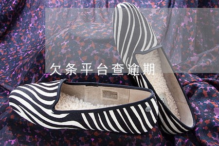 欠条平台查逾期 欠条平台查逾期