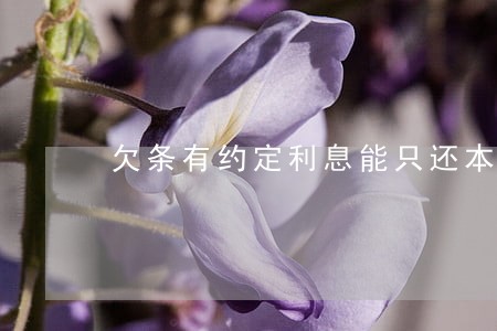 欠条有约定利息能只还本金吗 欠条有约定利息能只还本金吗