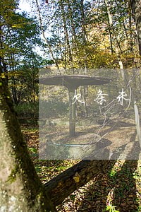 欠条未写逾期利息的规定 欠条未写逾期利息的规定
