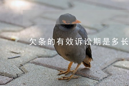 欠条的有效诉讼期是多长时间 欠条的有效诉讼期是多长时间
