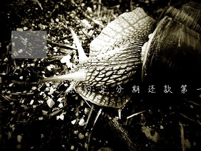 欠条约定分期还款第一期逾期 欠条约定分期还款第一期逾期