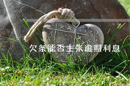 欠条能否主张逾期利息
