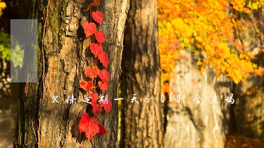欠条逾期一天500合法吗 欠条逾期一天500合法吗