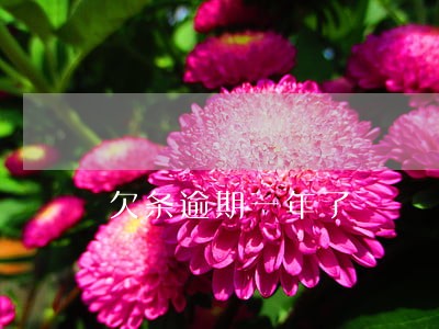 欠条逾期一年了 欠条逾期一年了