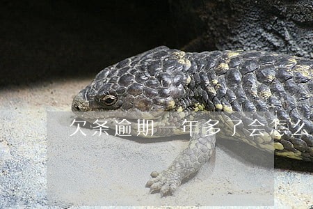 欠条逾期一年多了会怎么样 欠条逾期一年多了会怎么样