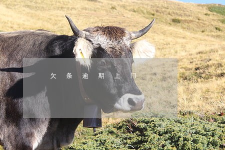 欠条逾期上门 欠条逾期上门