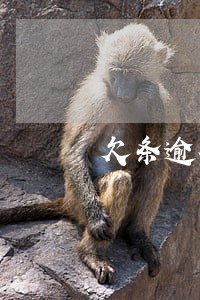 欠条逾期不给有违约金吗 欠条逾期不给有违约金吗