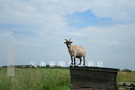欠条逾期付款利息 欠条逾期付款利息