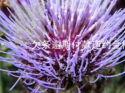 欠条逾期付款违约金标准 欠条逾期付款违约金标准