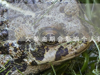 欠条逾期会影响个人征信吗 欠条逾期会影响个人征信吗