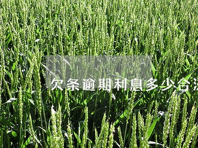 欠条逾期利息多少合法