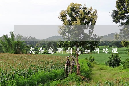 欠条逾期利息如何处理