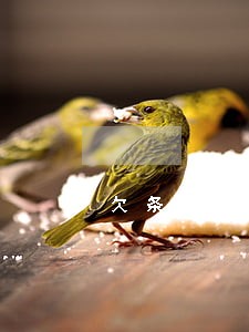 欠条逾期利息官司