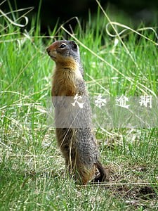 欠条逾期利息怎么写图片 欠条逾期利息怎么写图片