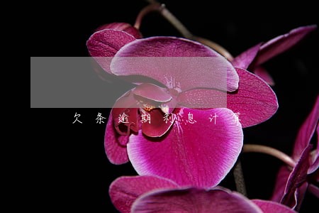 欠条逾期利息计算 欠条逾期利息计算