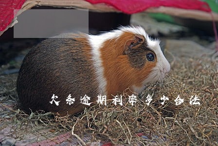 欠条逾期利率多少合法
