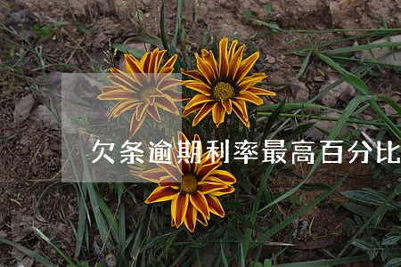 欠条逾期利率最高百分比 欠条逾期利率最高百分比
