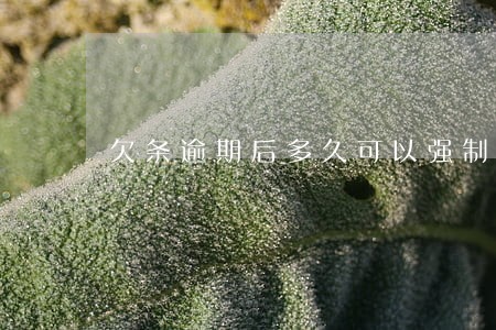 欠条逾期后多久可以强制执行 欠条逾期后多久可以强制执行