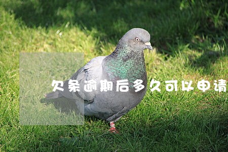 欠条逾期后多久可以申请强制执行 欠条逾期后多久可以申请强制执行