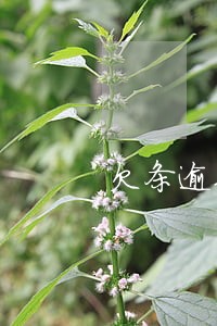 欠条逾期多久过法律 欠条逾期多久过法律