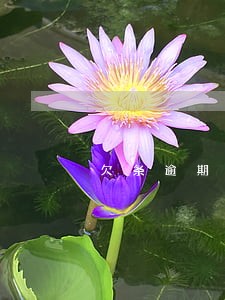 欠条逾期日利率多少 欠条逾期日利率多少