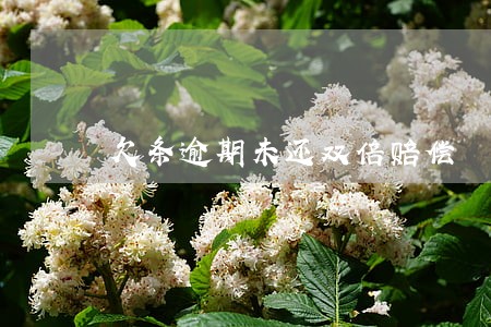 欠条逾期未还双倍赔偿 欠条逾期未还双倍赔偿