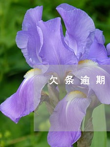 欠条逾期未还有什么后果 欠条逾期未还有什么后果