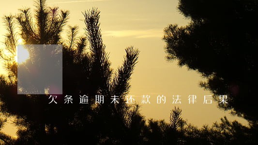 欠条逾期未还款的法律后果 欠条逾期未还款的法律后果