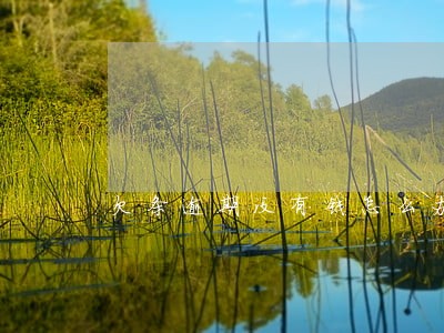 欠条逾期没有钱怎么办