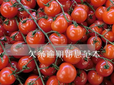 欠条逾期罚息范本 欠条逾期罚息范本