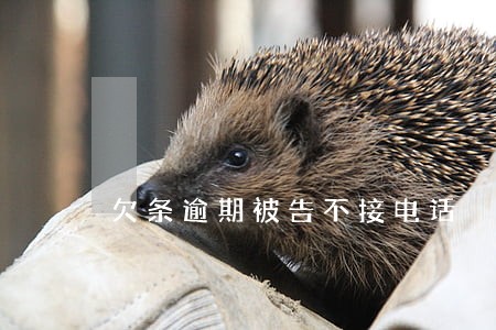 欠条逾期被告不接电话 欠条逾期被告不接电话