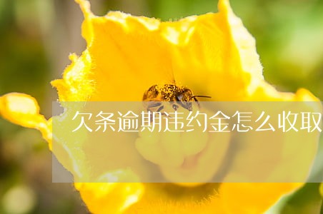 欠条逾期违约金怎么收取 欠条逾期违约金怎么收取