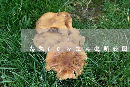 欠款10万左右逾期的图片 欠款10万左右逾期的图片
