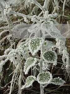 欠款10万逾期还款 欠款10万逾期还款