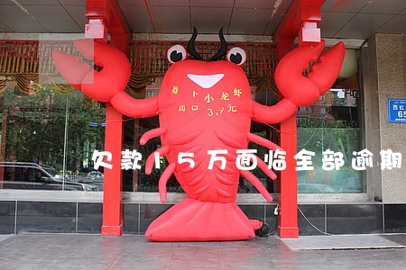 欠款15万面临全部逾期 欠款15万面临全部逾期