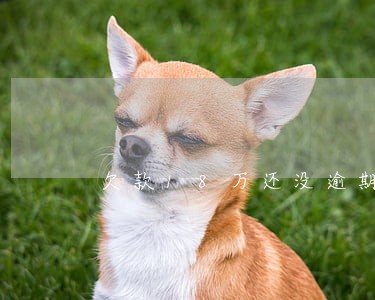 欠款18万还没逾期怎么办
