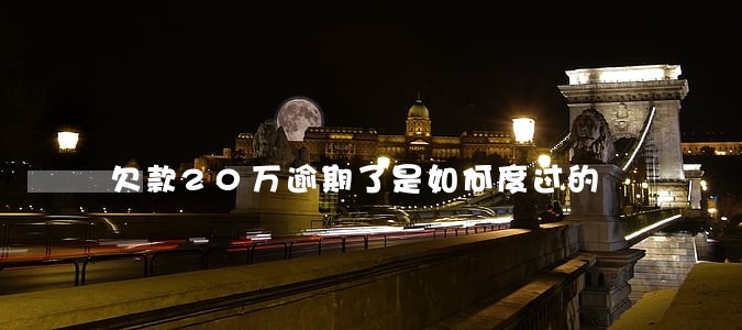 欠款20万逾期了是如何度过的