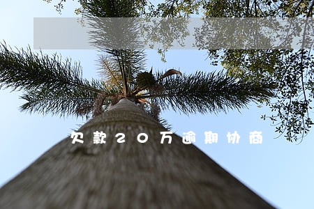 欠款20万逾期协商 欠款20万逾期协商