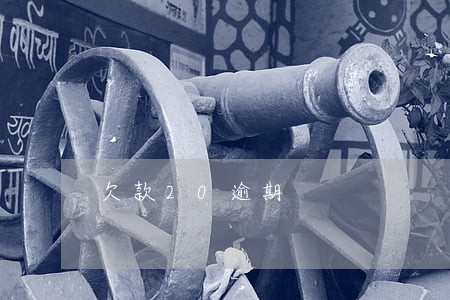 欠款20逾期 欠款20逾期