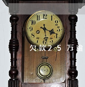欠款25万逾期了怎么办