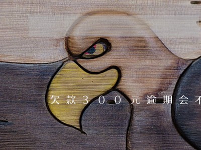 欠款300元逾期会不会进入征信 欠款300元逾期会不会进入征信