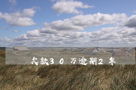 欠款30万逾期2年 欠款30万逾期2年