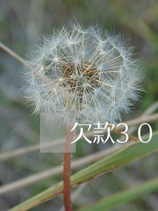 欠款30万逾期3年 欠款30万逾期3年