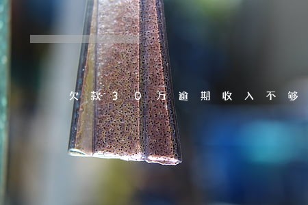 欠款30万逾期收入不够还